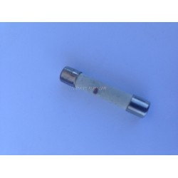 5303284219 Frigidaire Microwave Inline Fuse Fast Acting (Fast-Blow) 314-20A