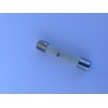 WPM0805101 Amana Microwave Inline Fuse Fast Acting (Fast-Blow) 314-20A