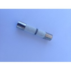 3601-001198 Samsung Microwave Inline Fuse Slow Acting (Slow-Blow) 65TL-20A